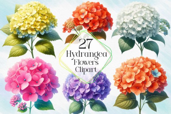 Hydrangea Flowers Watercolor Clipart for Design