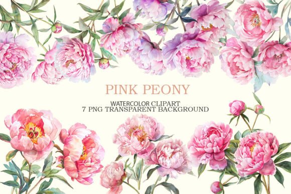 Pink Peony Watercolor Clipart Bundle: A Designer’s Guide