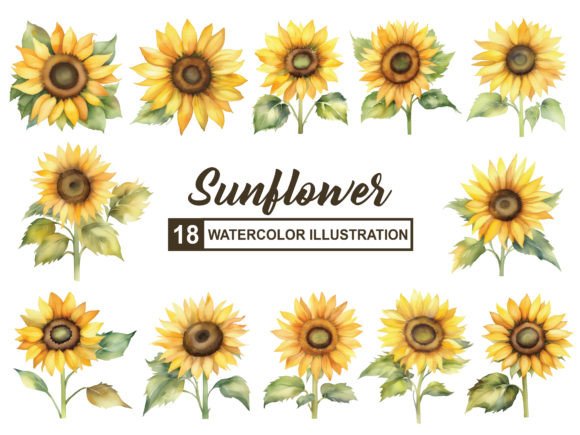 Sunflower Watercolor: A Guide to This Lively Typeface