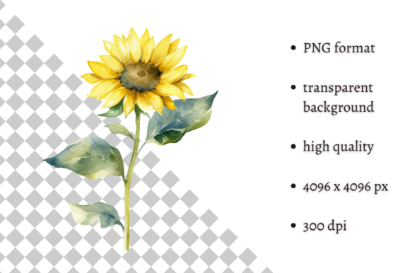 Watercolor Sunflower Art for Spring Design Projects